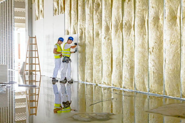 Best Insulation Installation Services in Moosic, PA